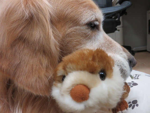 ファイル 4408-5.jpg