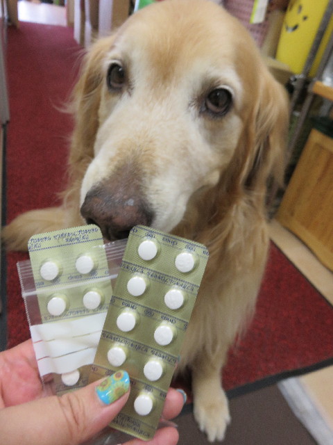 ファイル 4409-3.jpg