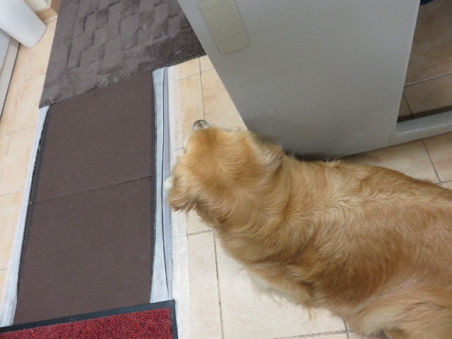 ファイル 4409-5.jpg