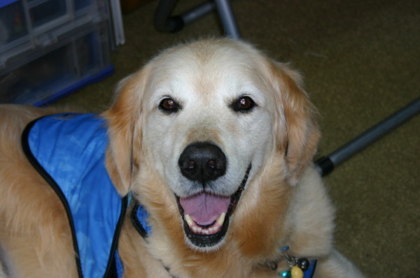 ファイル 441-1.jpg