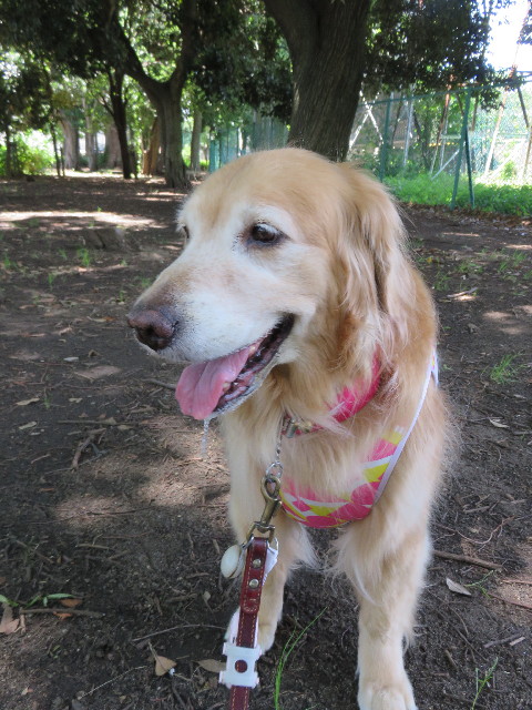 ファイル 4410-2.jpg