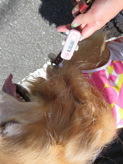 ファイル 4410-4.jpg