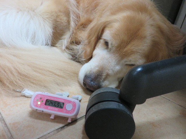 ファイル 4411-4.jpg