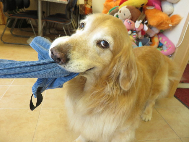 ファイル 4411-5.jpg