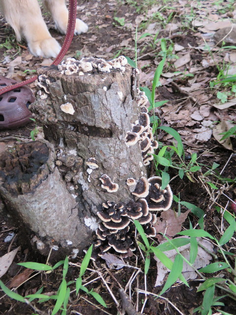 ファイル 4413-5.jpg