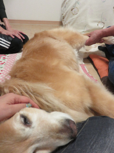 ファイル 4414-4.jpg