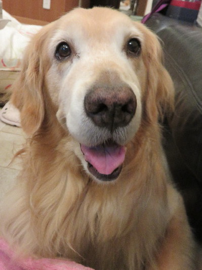 ファイル 4415-2.jpg