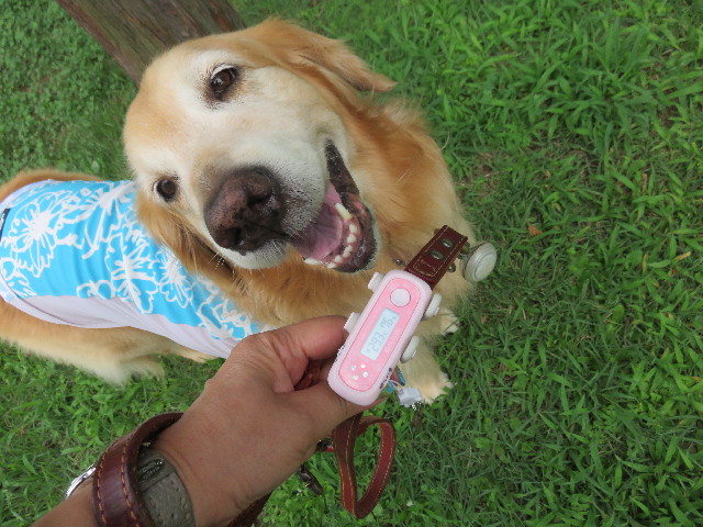 ファイル 4415-4.jpg