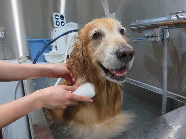 ファイル 4416-5.jpg