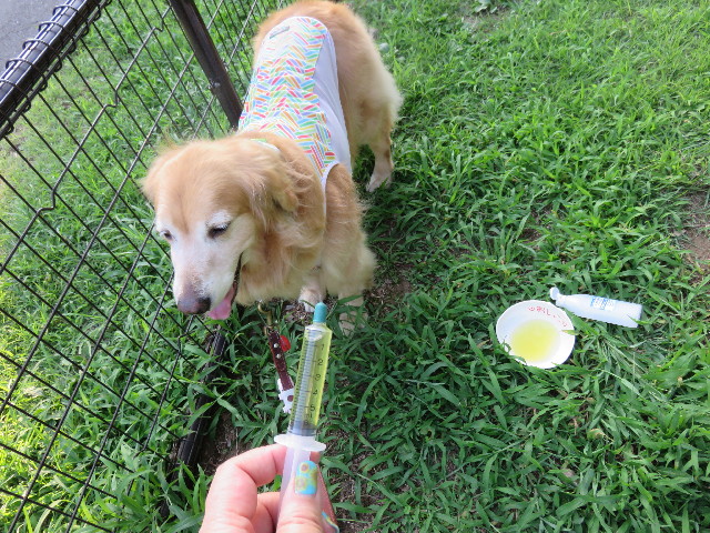 ファイル 4417-1.jpg