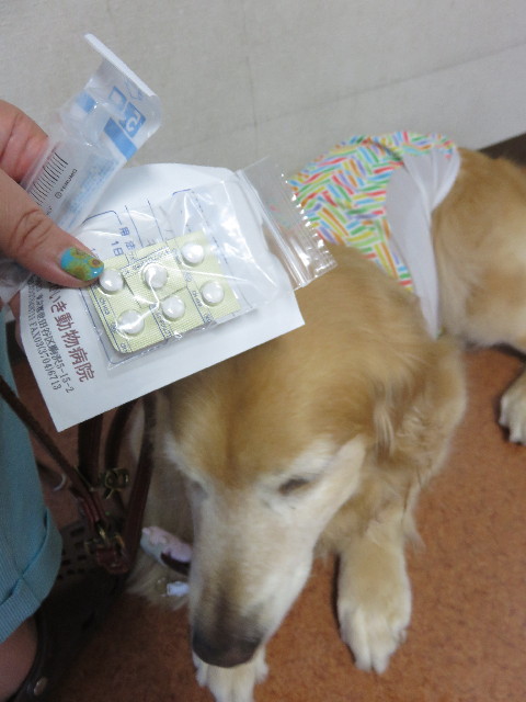 ファイル 4417-3.jpg