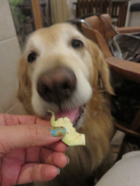 ファイル 4418-2.jpg