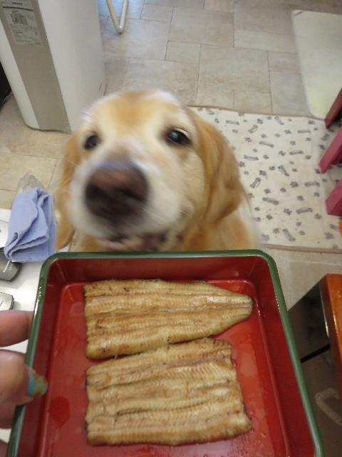 ファイル 4418-5.jpg