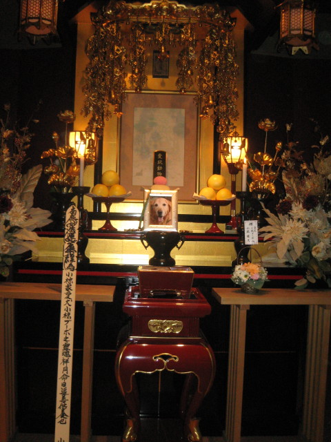 ファイル 442-2.jpg