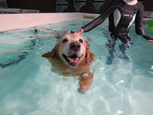 ファイル 4420-2.jpg