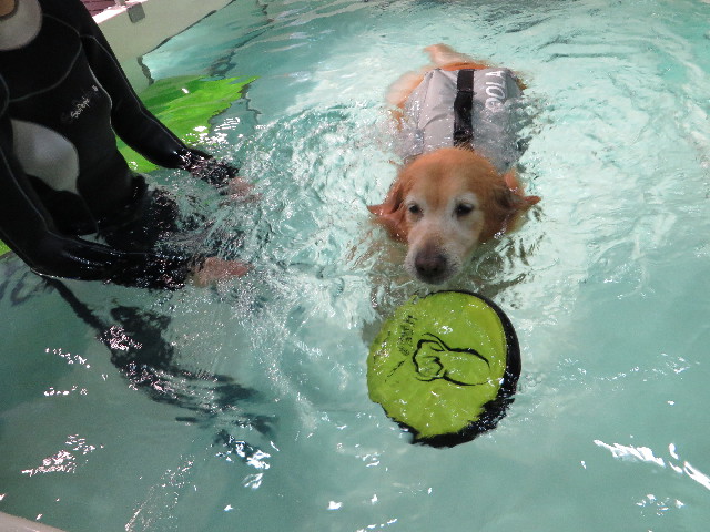 ファイル 4420-3.jpg