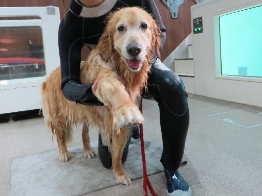 ファイル 4420-4.jpg