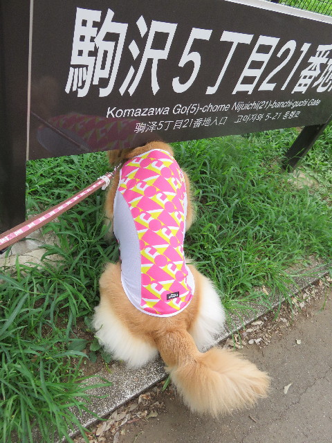 ファイル 4421-1.jpg