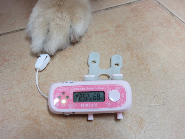 ファイル 4421-2.jpg