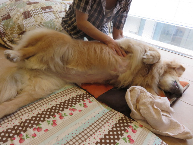 ファイル 4421-3.jpg