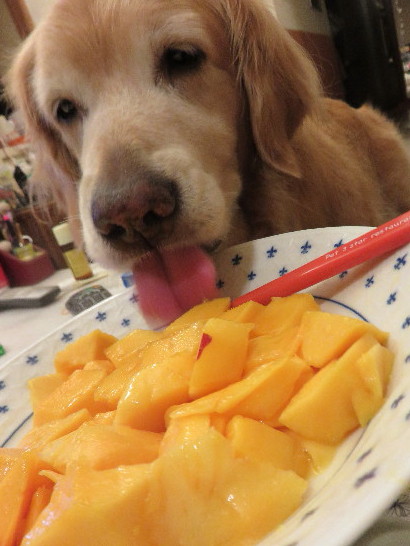 ファイル 4422-3.jpg