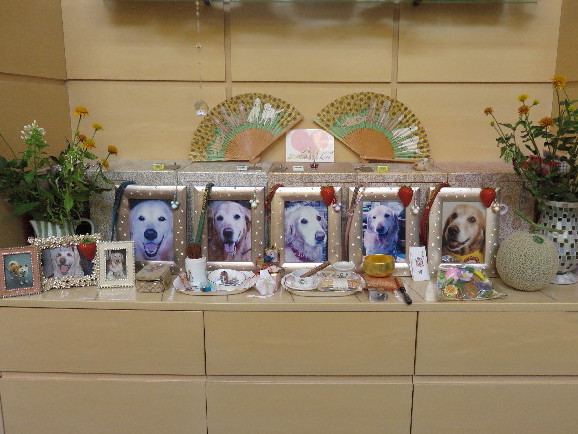 ファイル 4424-2.jpg