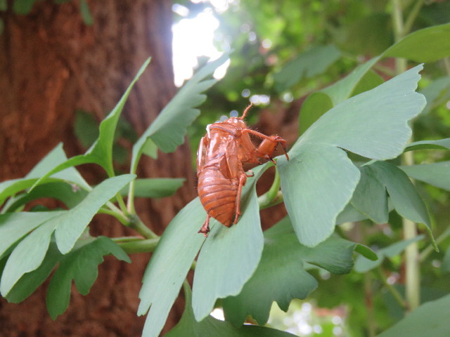 ファイル 4424-3.jpg