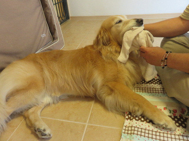 ファイル 4425-4.jpg