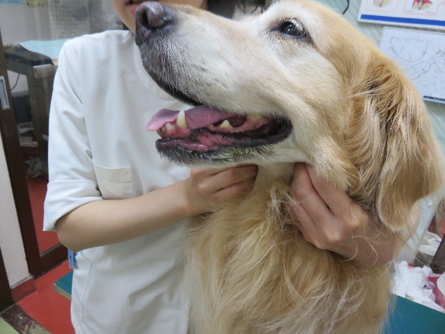 ファイル 4426-2.jpg