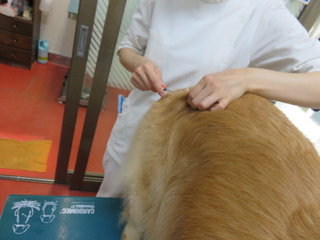 ファイル 4426-3.jpg