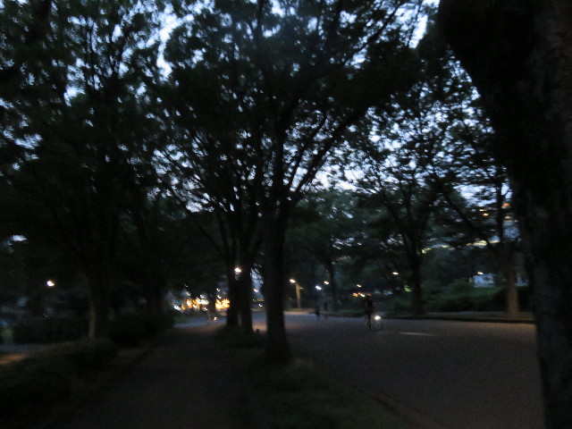 ファイル 4427-3.jpg