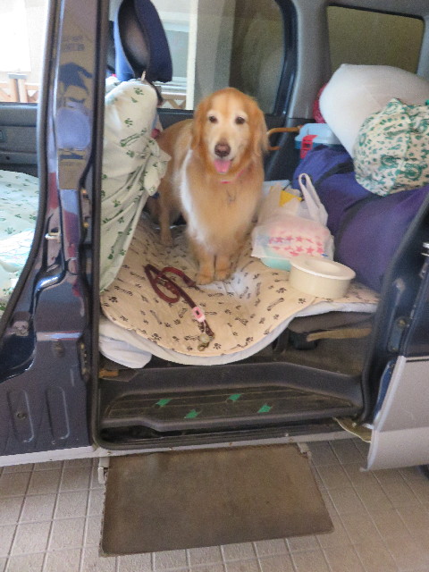 ファイル 4428-1.jpg