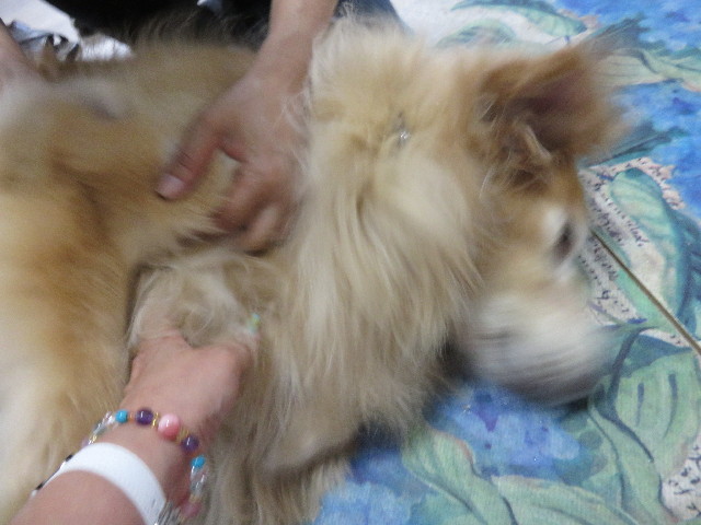 ファイル 4429-3.jpg