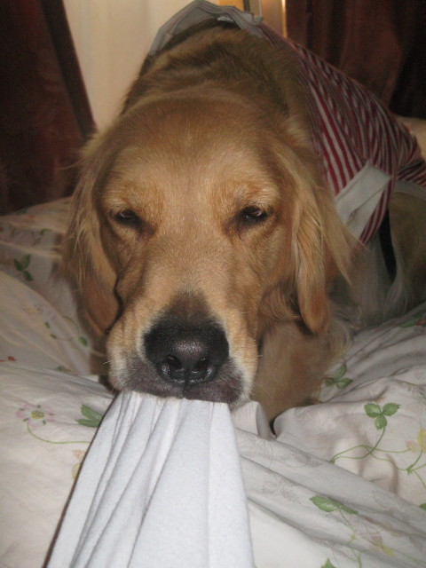 ファイル 443-2.jpg