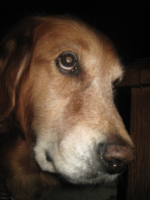 ファイル 443-4.jpg