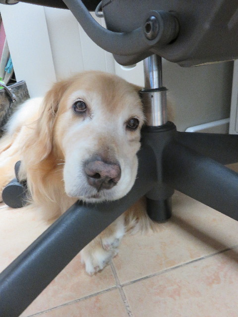 ファイル 4430-1.jpg