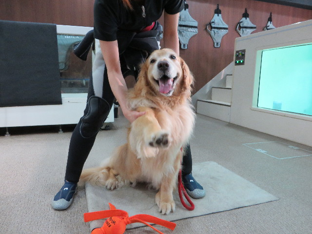 ファイル 4430-2.jpg