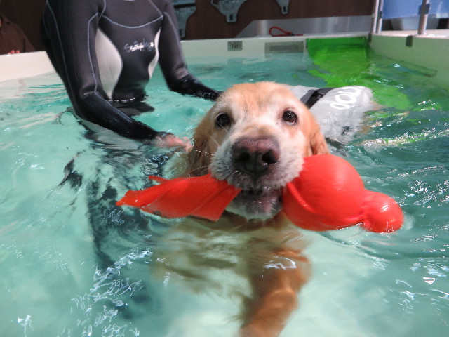 ファイル 4430-3.jpg