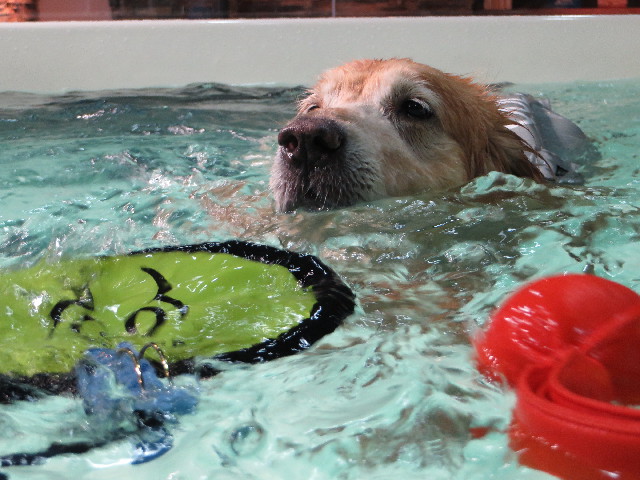 ファイル 4430-4.jpg