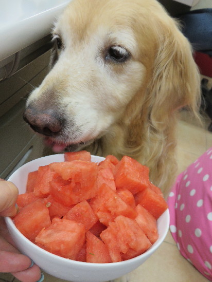 ファイル 4431-1.jpg