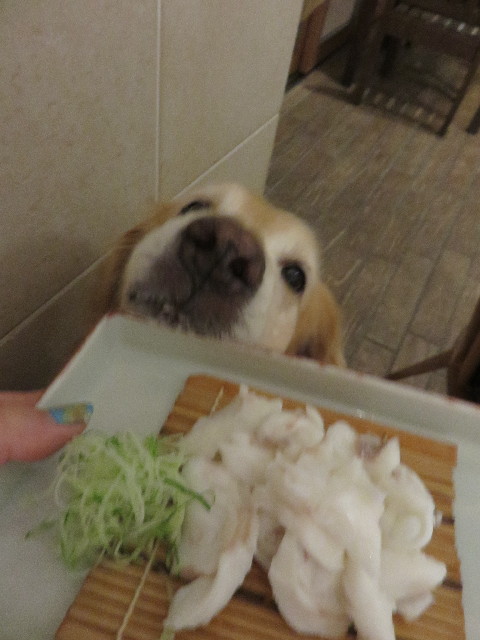 ファイル 4431-2.jpg