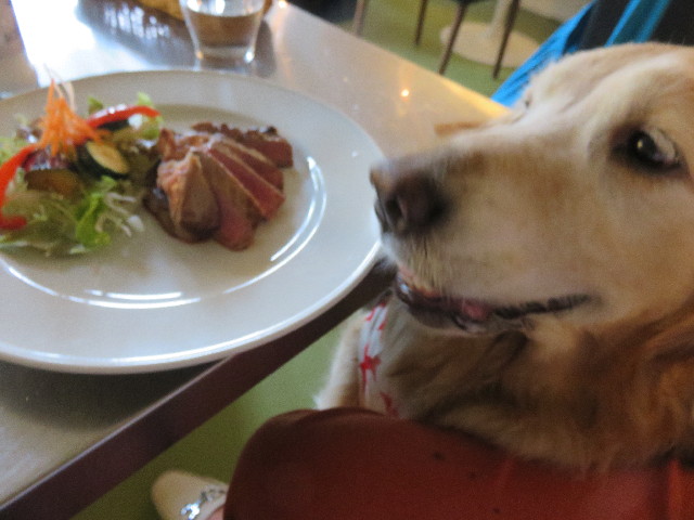 ファイル 4431-3.jpg