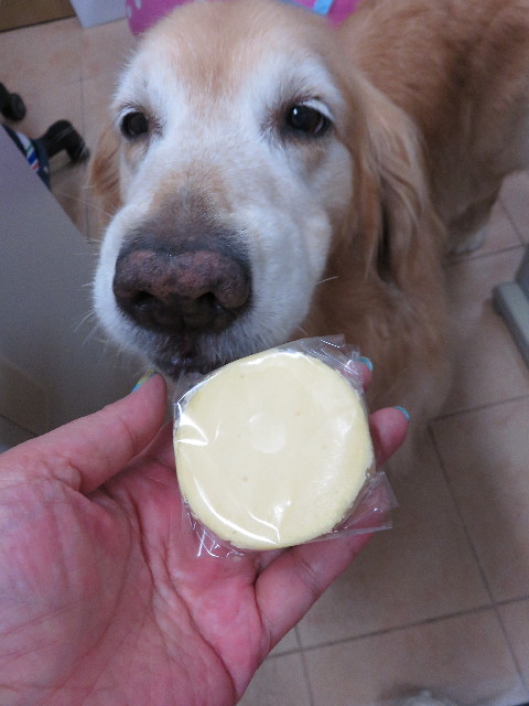 ファイル 4431-4.jpg