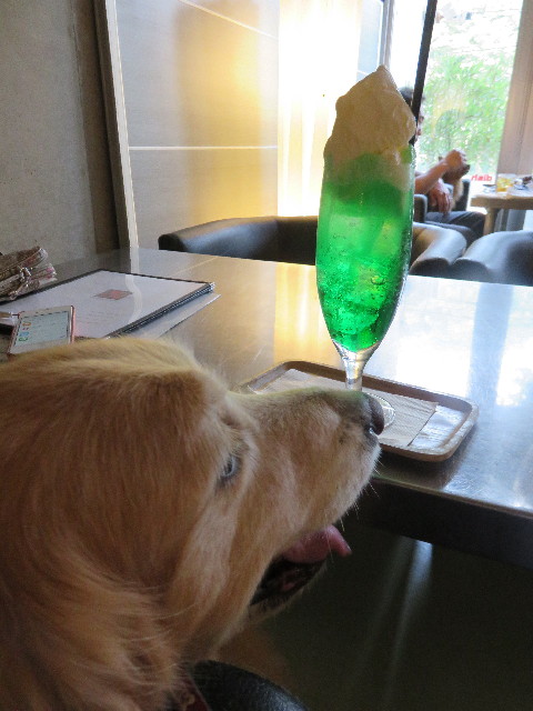 ファイル 4431-5.jpg