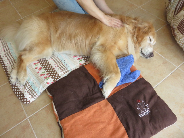 ファイル 4432-4.jpg