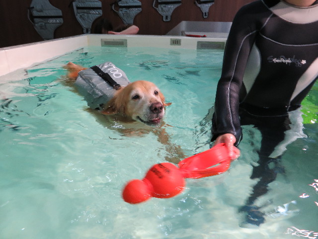 ファイル 4434-3.jpg