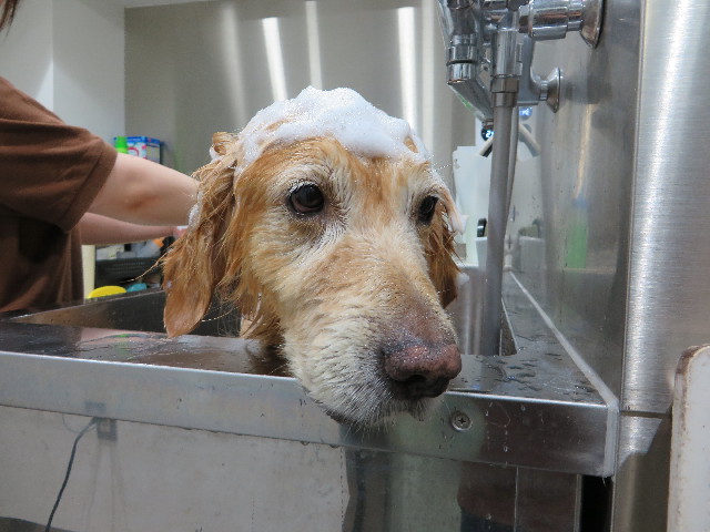 ファイル 4434-4.jpg