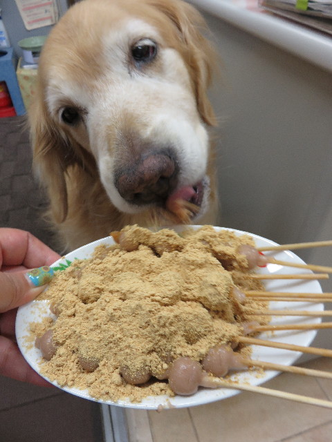 ファイル 4436-2.jpg