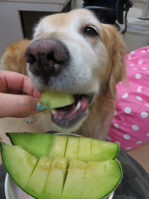 ファイル 4437-1.jpg