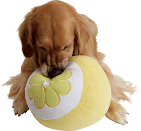 ファイル 4437-4.jpg